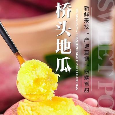 海南澄迈富硒圆形红薯2/5斤装板栗薯红薯蜜薯/桥头地瓜