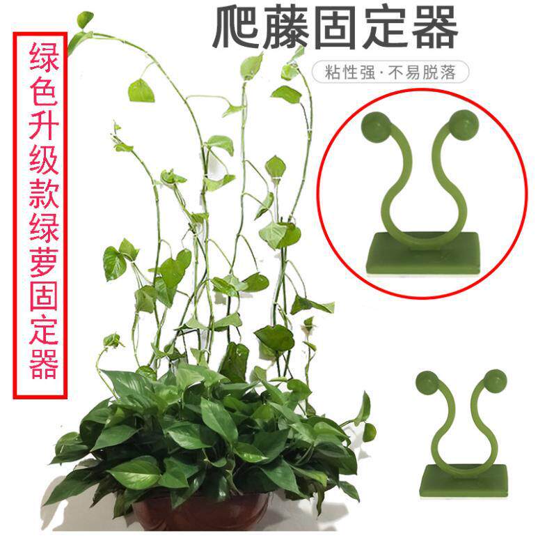 新款绿萝固定器爬墙神器藤蔓绿植墙面夹子墙上夹爬藤扣植物卡扣花