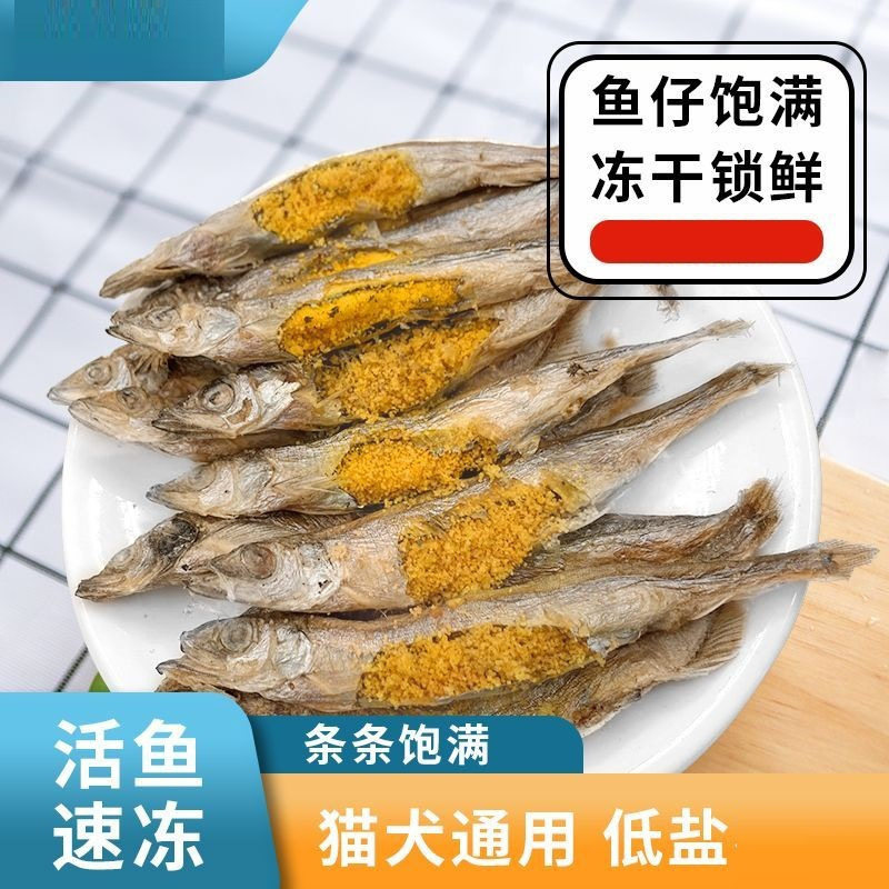 冻干多春鱼宠物猫咪零食小鱼干幼猫成猫健康三文鱼猫条健康爱吃