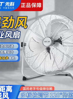 先科趴地扇落地扇工业风扇