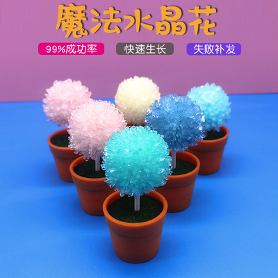 龙图创客科学小实验DIY自种水晶生长种植结晶花益智晶体自制玩具