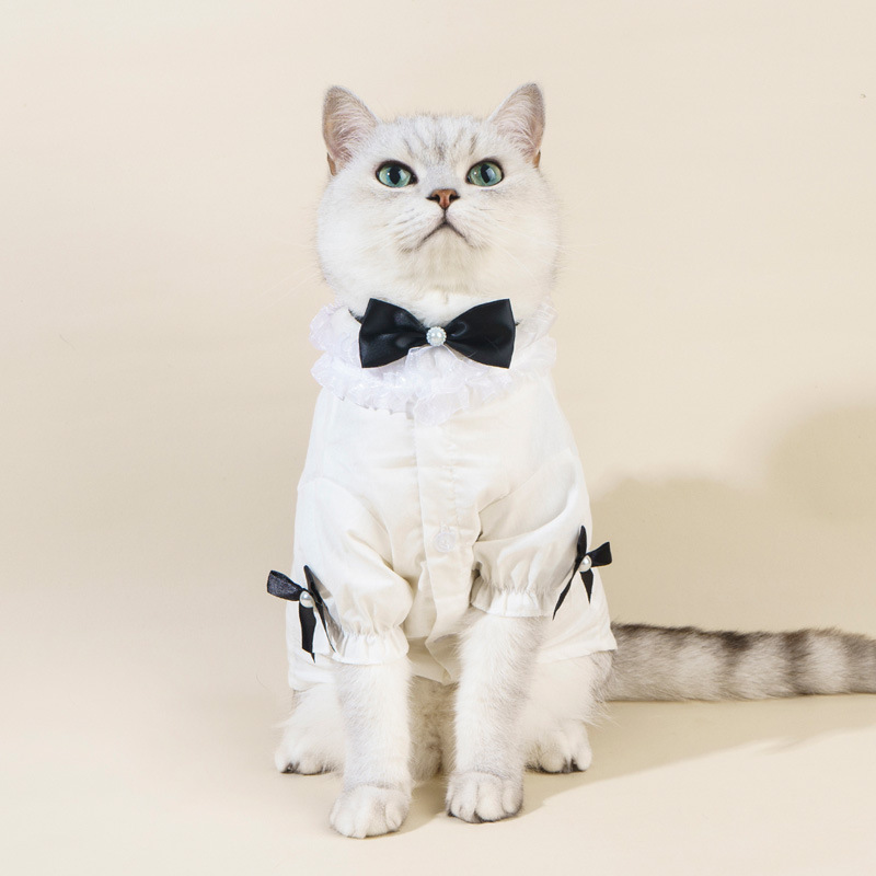 新款 宠物花边衬衫 INS小香风猫咪衣服 狗狗衬衣 领结配套