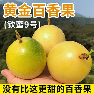 广西黄金百香果钦蜜9号新鲜热带水果现摘现发新鲜果香十足