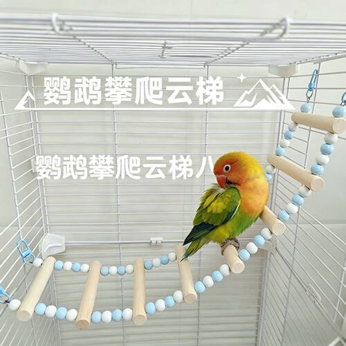 鹦鹉爬梯秋千玩具鸟笼装饰用品布置攀爬云梯宠物鸟玩具牡丹玄凤