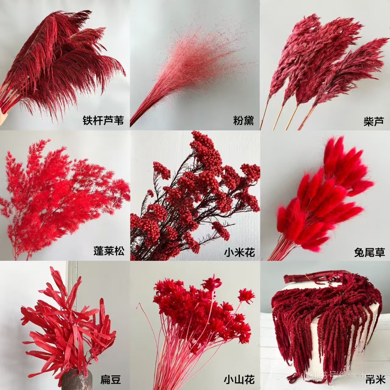 红色永生花工厂直销龙须草