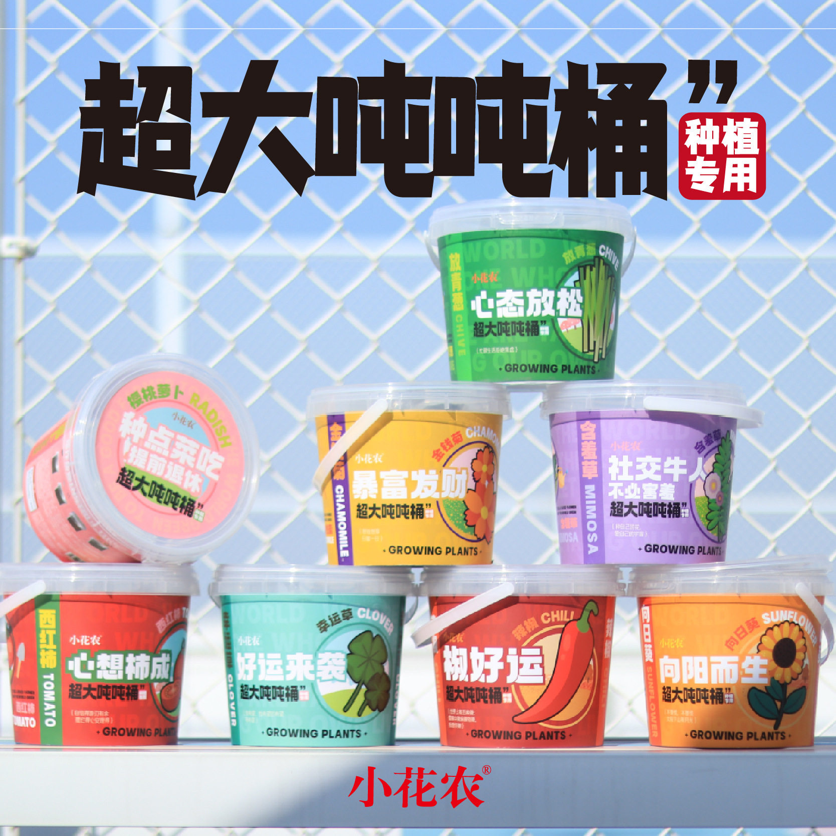 种植向日葵盆栽幼儿园草莓礼物图片