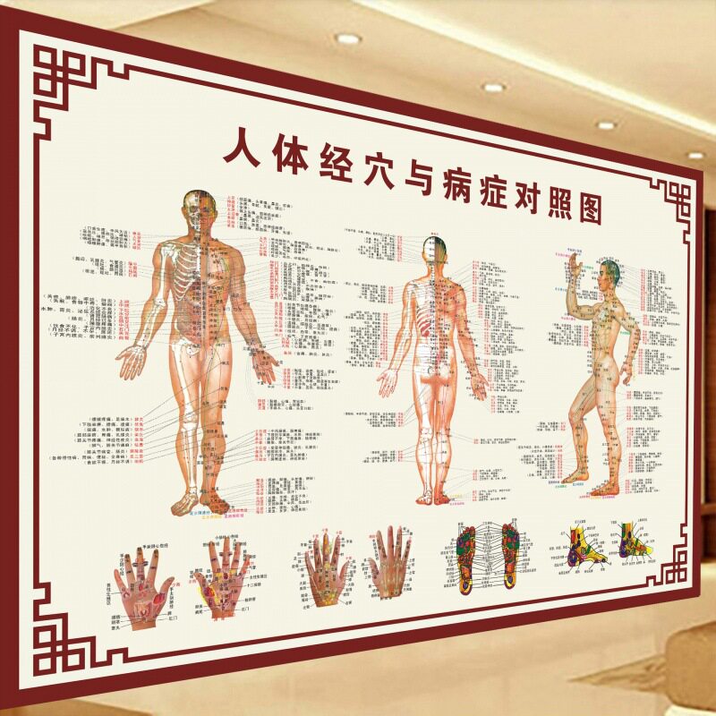 穴位图人体穴位图针灸经络拔经穴与病症对照中医大挂图跨境其他