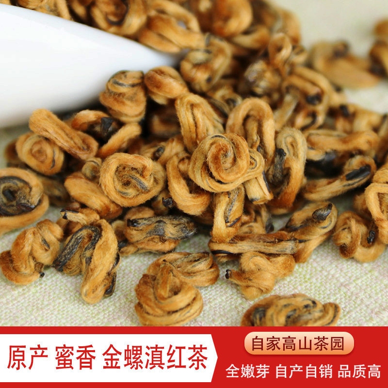 2026早春新茶云南金螺滇红茶500g