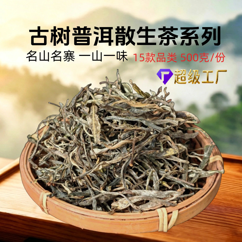 15种云南古树普洱生茶散茶