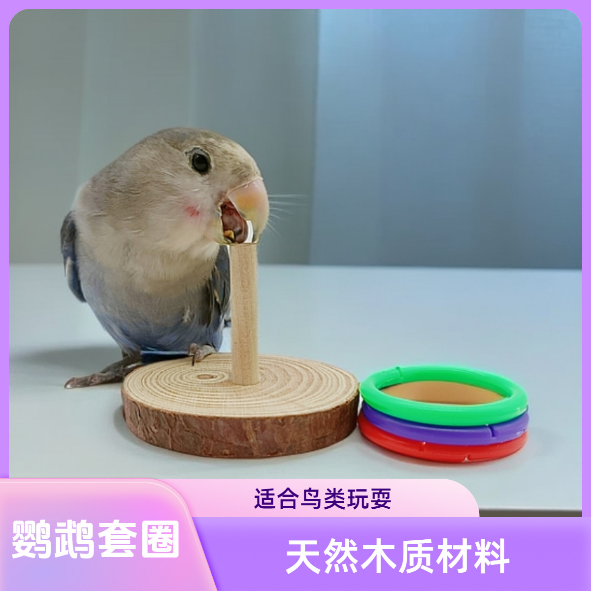鹦鹉玩具鸟益智玩具套圈木彩色圈叠叠训练/虎皮牡丹玄凤太阳和尚