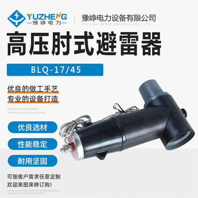 可触摸型欧式后接避雷器HBLQ-17/45 美式箱变美标避雷器BLQ系列