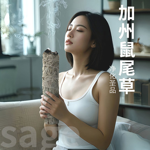 White Sage Smudge Sticks加州白鼠尾草净化空间进口天然香薰植物
