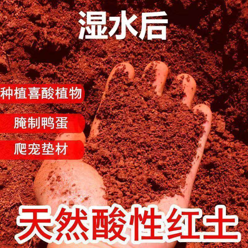 云南红泥土杜鹃花栀子花专用土酸性花土盆栽铺面爬宠造景透气