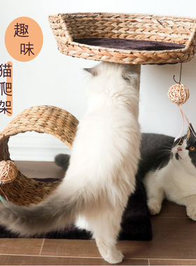 藤编猫爬架猫抓柱猫玩具猫抓板猫咪跳台四季通用草编猫窝爬架一体