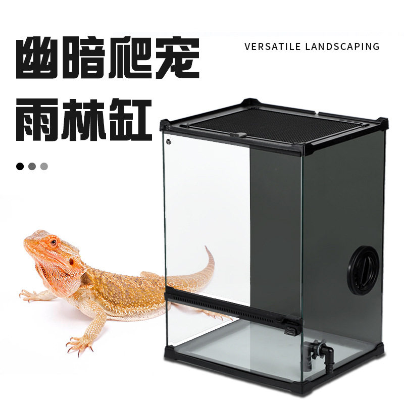 热带雨林爬宠生态缸微景观苔藓植物景观缸黑玻水陆裸缸桌面造景缸