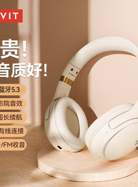 havit海威特无线蓝牙耳机头戴式音乐电竞降噪超长续航立体声耳机