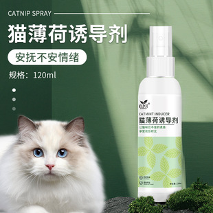 自嗨猫抓板猫薄荷液体喷雾 道力其猫薄荷诱导剂120m缓和情绪