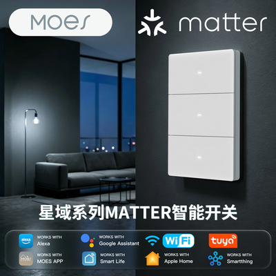 Matter智能开关Moes断电记忆