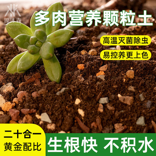 多肉土营养土种植土园艺盆栽基底土颗粒土覆盆土