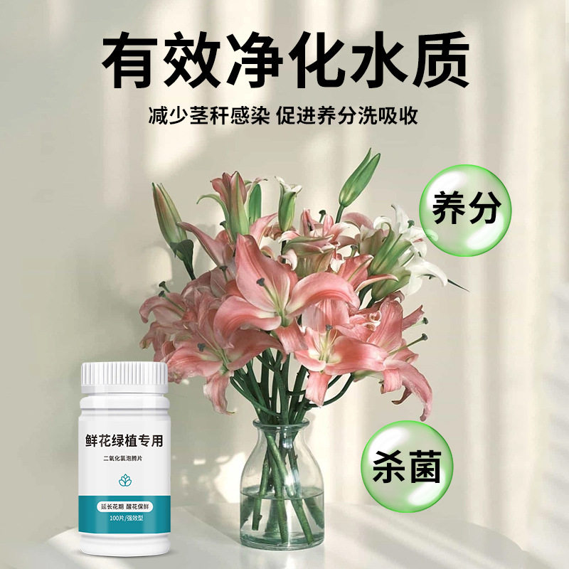 二氧化氯泡腾片插花切花保鲜剂
