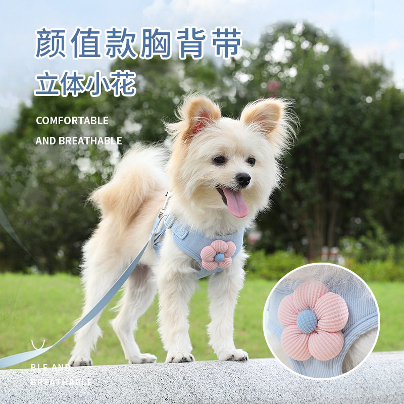 小狗狗狗牵引绳背心小型幼犬比熊博美背带狗绳牵引绳