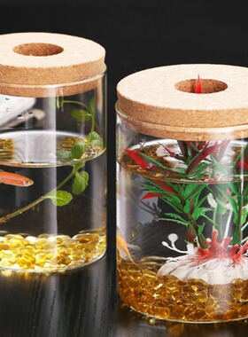 微景观海藻球生态水培绿色植物花桌面硼硅玻璃迷你摆件观景