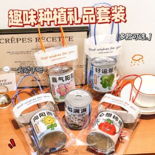 植树节手工diy儿童幼儿园种植小盆栽好养活绿植开学仪式感小礼品