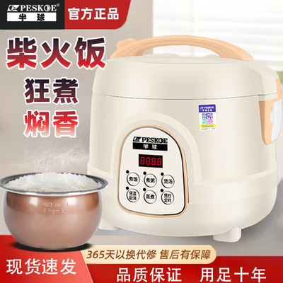 家用电饭煲正半球迷你预约