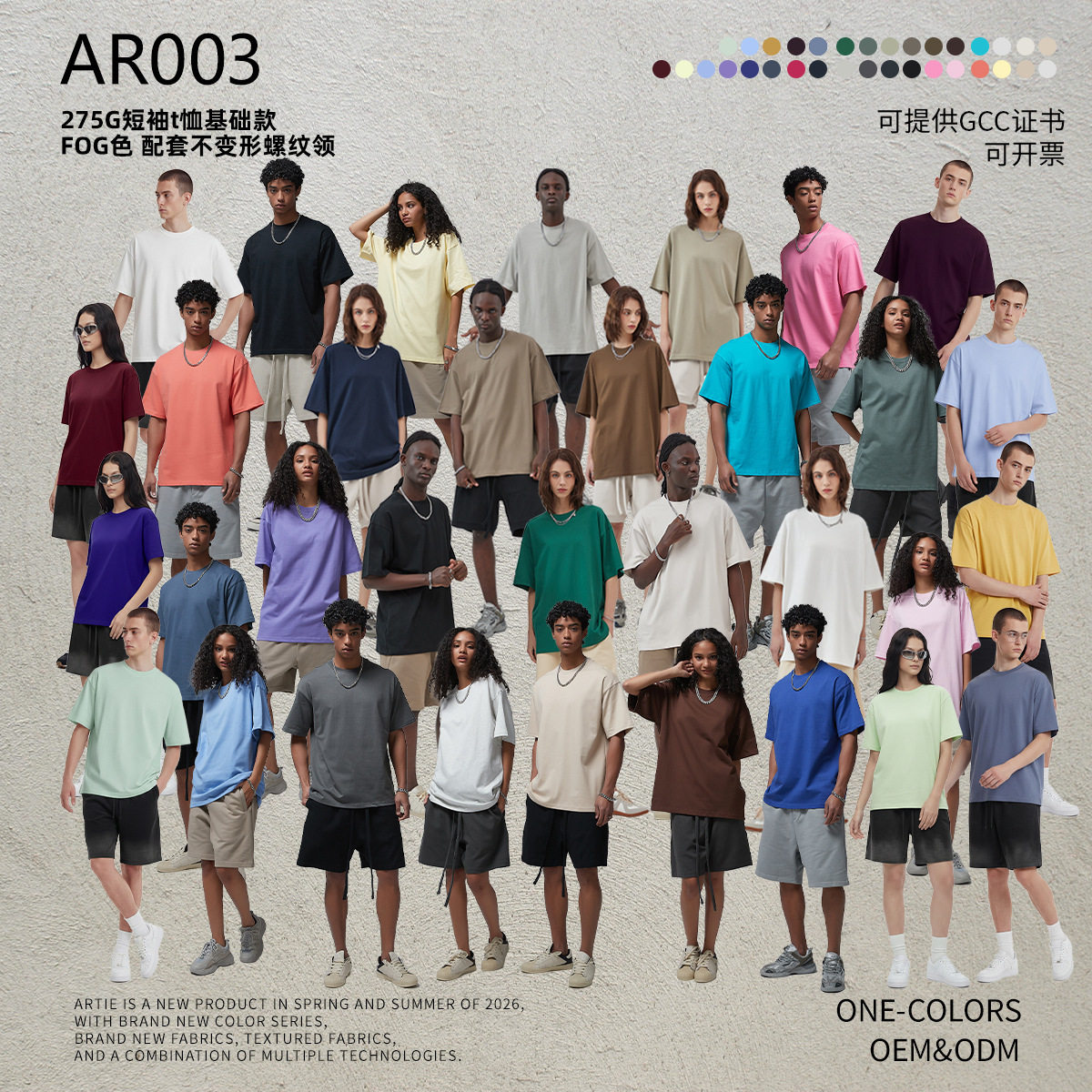 T-SHIRTS BASICS (270)
