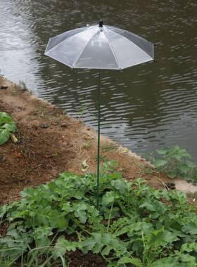 雨伞透明雨伞morass遮雨直径