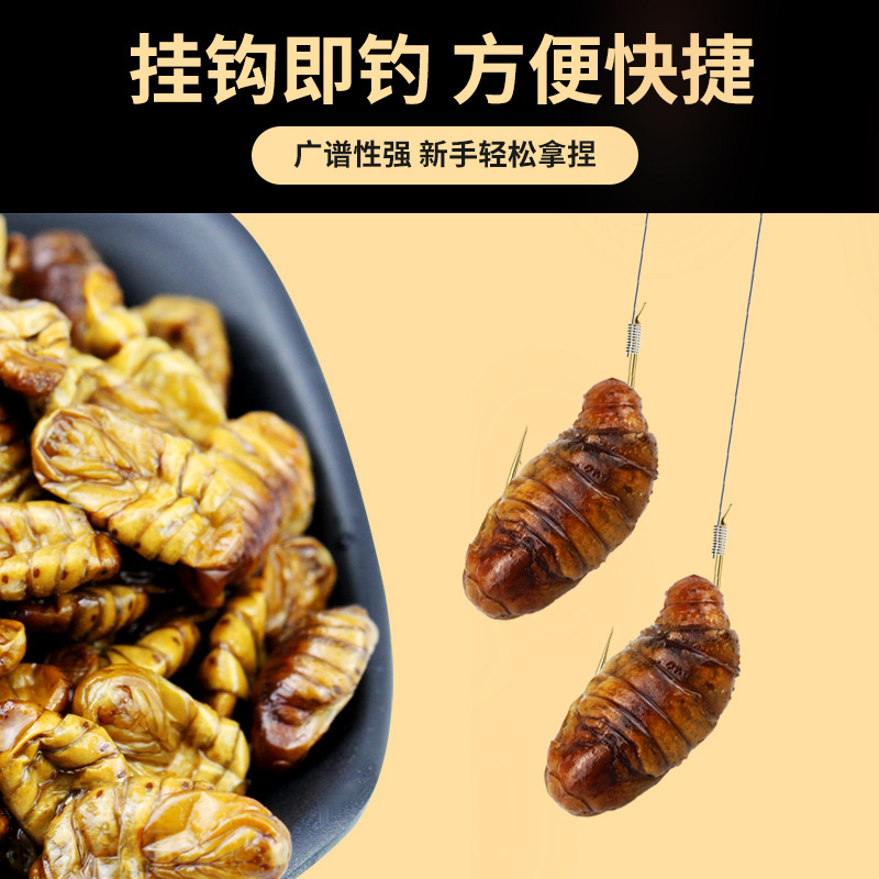 .蚕蛹鱼饵 活饵小药泡制诱鱼配方青鱼鲤鱼草鱼野钓巨物爆钓饵料
