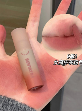 秋意浓~灰粉调唇泥哑光雾面丝绒唇釉不沾杯口红学生直播跨境