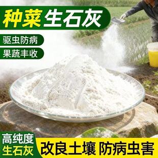 生石灰粉种菜专用农用蔬菜地杀虫剂果园鱼塘杀菌消毒园艺改良土壤