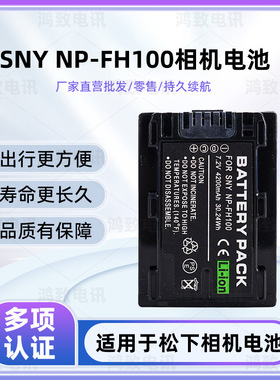 适用于索尼HDR-XR520E CX100E XR105E XR200 XR500 NP-FH100电池