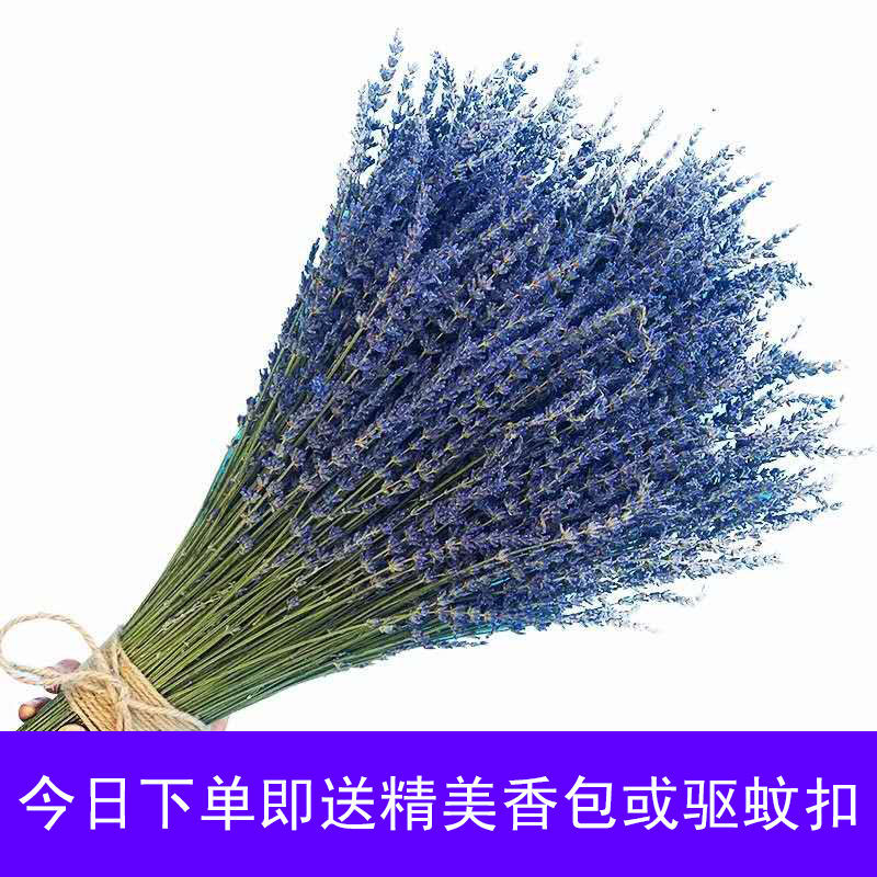 新款薰衣草干花花束满天星家居用品家庭客厅桌面装饰品摆件生日礼