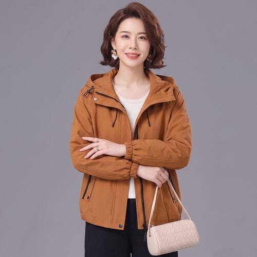 女大码端庄上衣2026年秋季