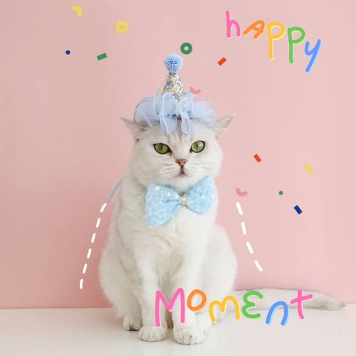 蕾丝生日帽子头饰仙女套装