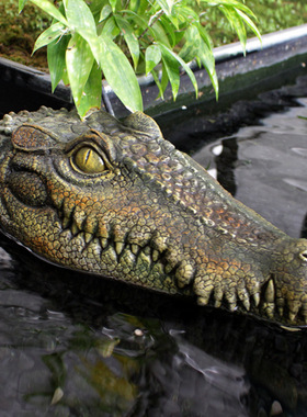 跨境仿真鳄鱼水上漂浮水池庭院池塘漂浮动物摆件鳄鱼可漂浮水面