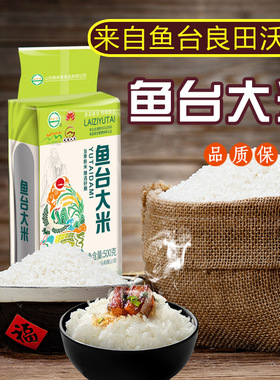 山东鱼台大米梗米东北大米500克多规格礼盒煮粥煲汤产地直发