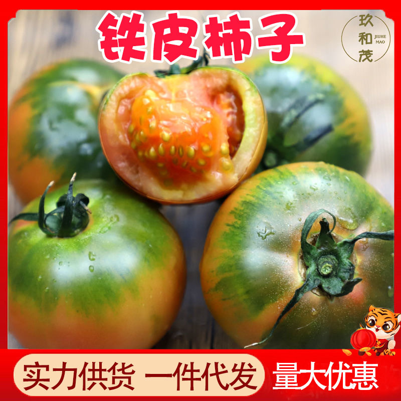 正宗铁皮柿子5斤整箱丹东草莓西红柿新鲜生吃3斤水果包邮番茄