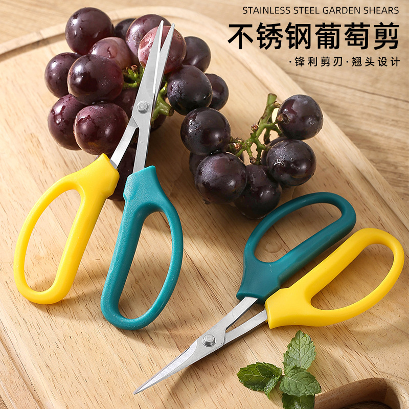 葡萄剪园林果树摘果剪园艺盆栽花卉修枝剪翘头蔬果剪