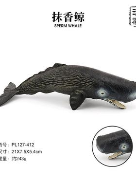 抹香鲸模型cachalot 仿真海洋动物 海底总动员 塑胶摆件早教玩具