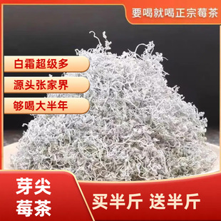 【新茶够喝大半年】莓茶龙须黄酮莓茶【白霜端长芽