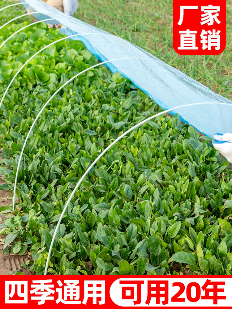 新款大棚骨架玻璃纤维新型小拱棚支架塑料地膜蔬菜拱杆支撑拱条农