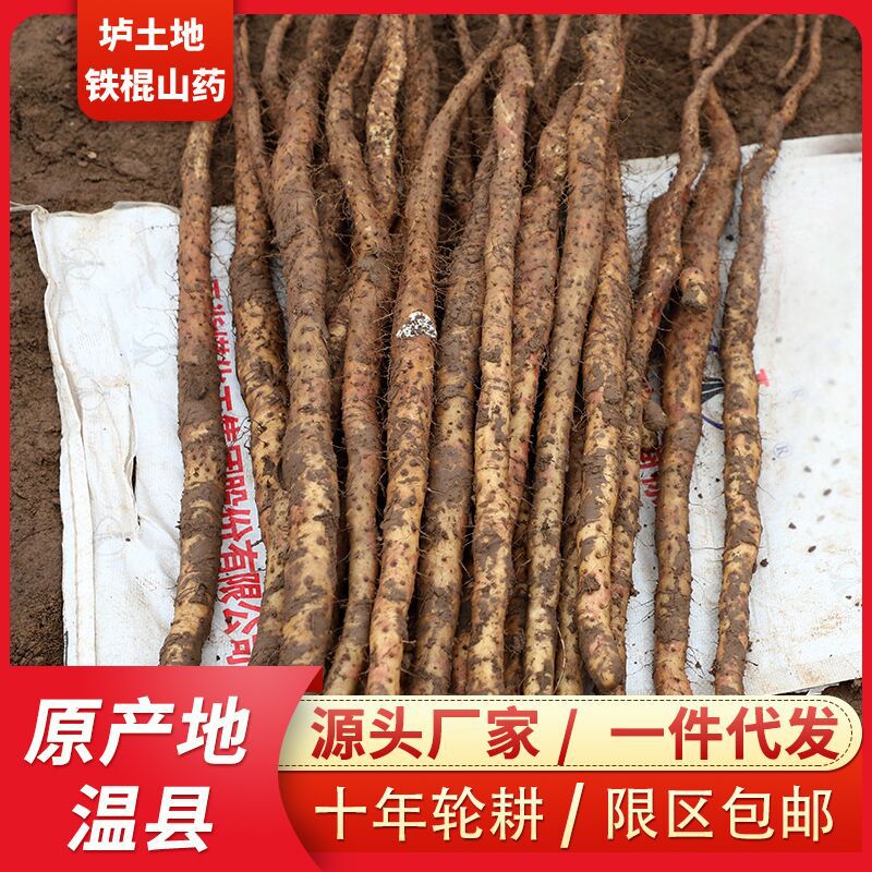 豫浓禾园焦作垆土铁棍山药新鲜