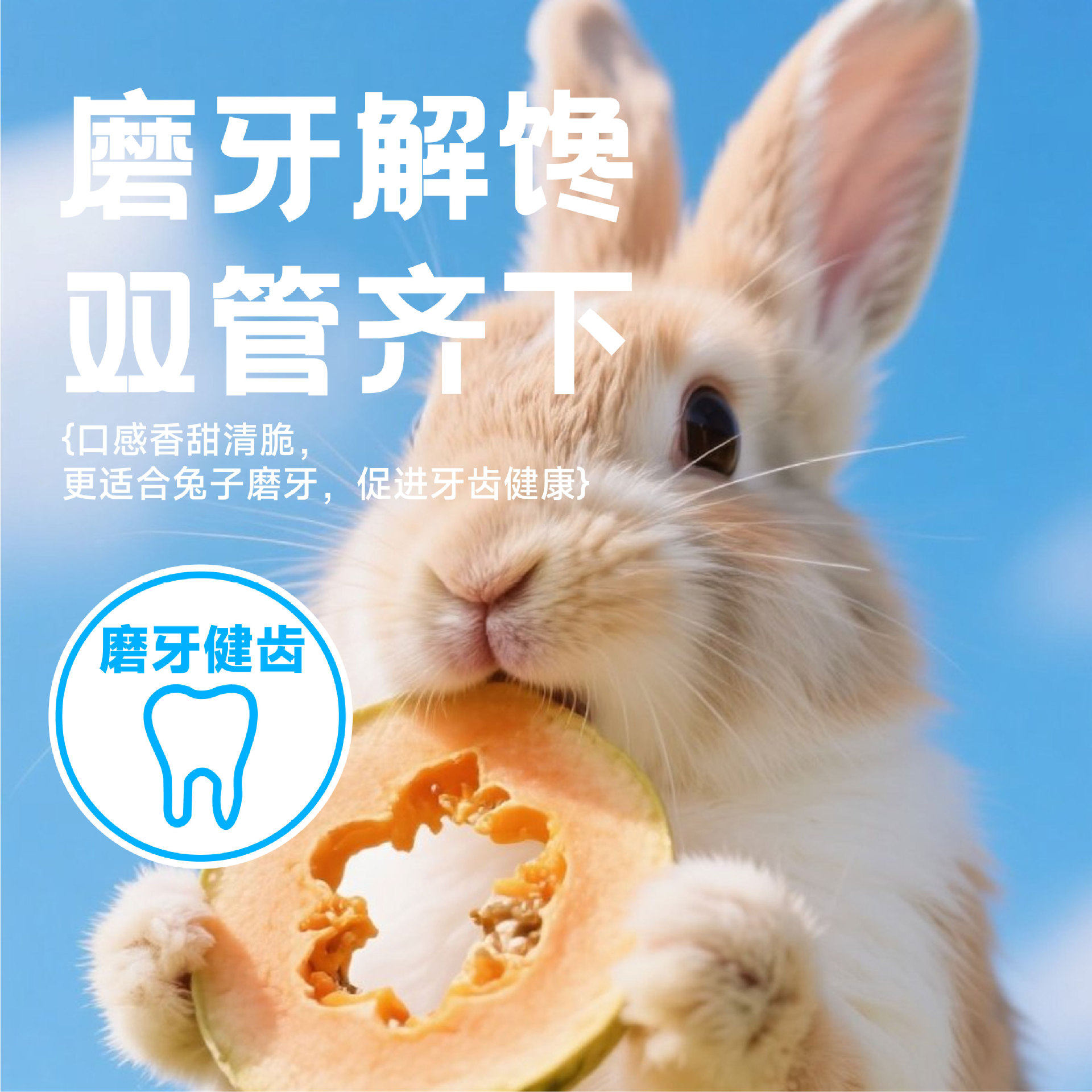 康必持兔兔木瓜片烘干木瓜丝补充营养助排毛零食兔子龙猫荷兰猪