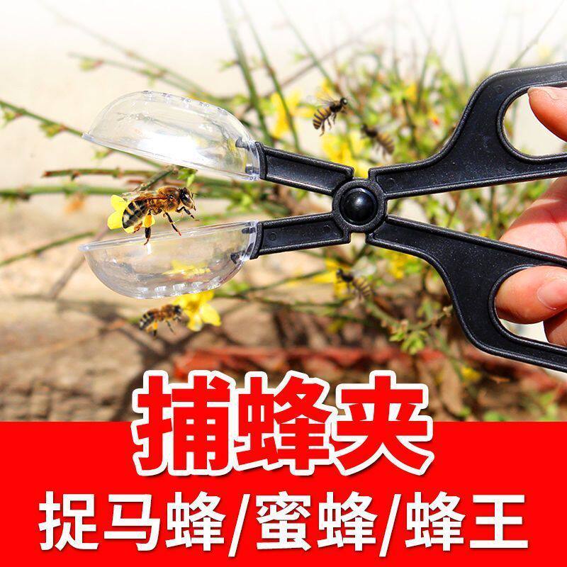 蜂王捕捉器捕蜂夹收蜂捉蜜蜂抓马蜂胡蜂蜂王昆虫夹子防逃土蜂蜂具