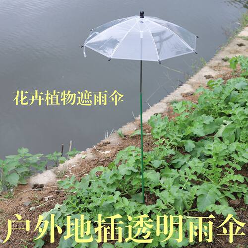 雨伞透明雨伞morass遮雨直径