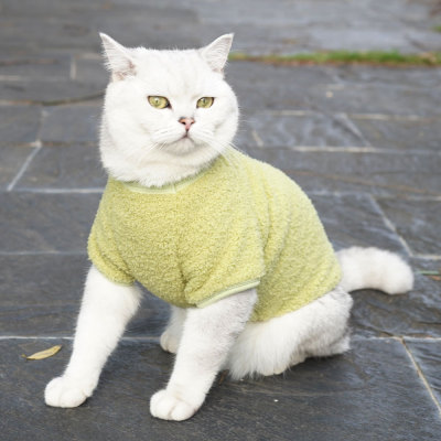 宠它新款猫咪冬天衣服防掉毛保暖猫猫衣服云朵绒寵物衣服卫衣