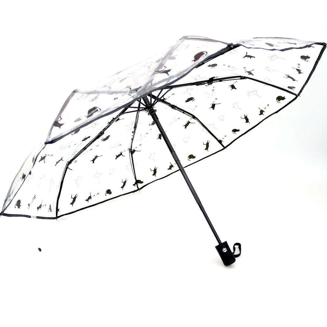 雨伞透明雨伞擎仕通猫咪女小图片